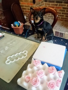 Dora overseeing the cake decorating